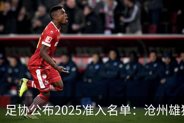 足协公布2025准入名单：沧州雄狮、广州队无缘